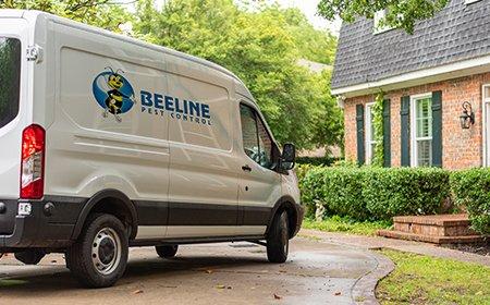 beeline pest control