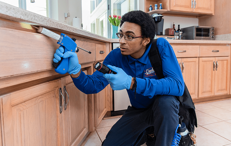 a technician treating the interior of an atlantic beach florida home for ants