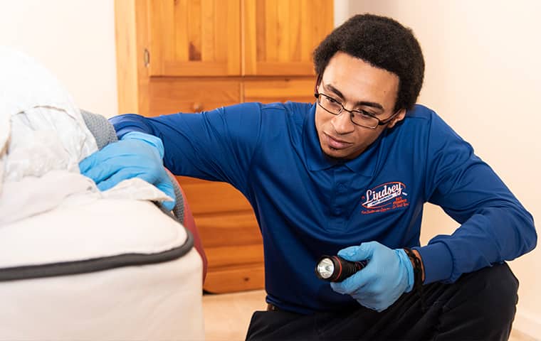 a lindsey pest services technician inspecting a home in middleburg florida for bed bugs