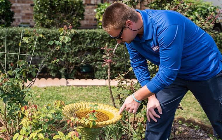 technician checking for mosquitoes