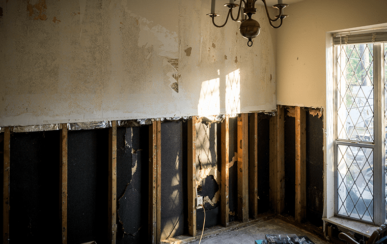 interior of a mold damaged home in palm valley florida