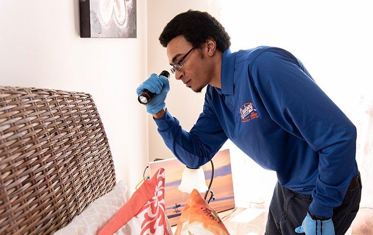 a technician inspecting for bed bugs in bryceville florida