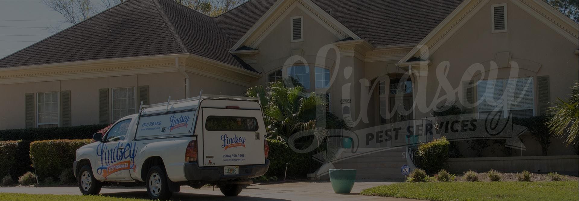 All In One Termite And Pest Control Jacksonville Fl : We protect homes