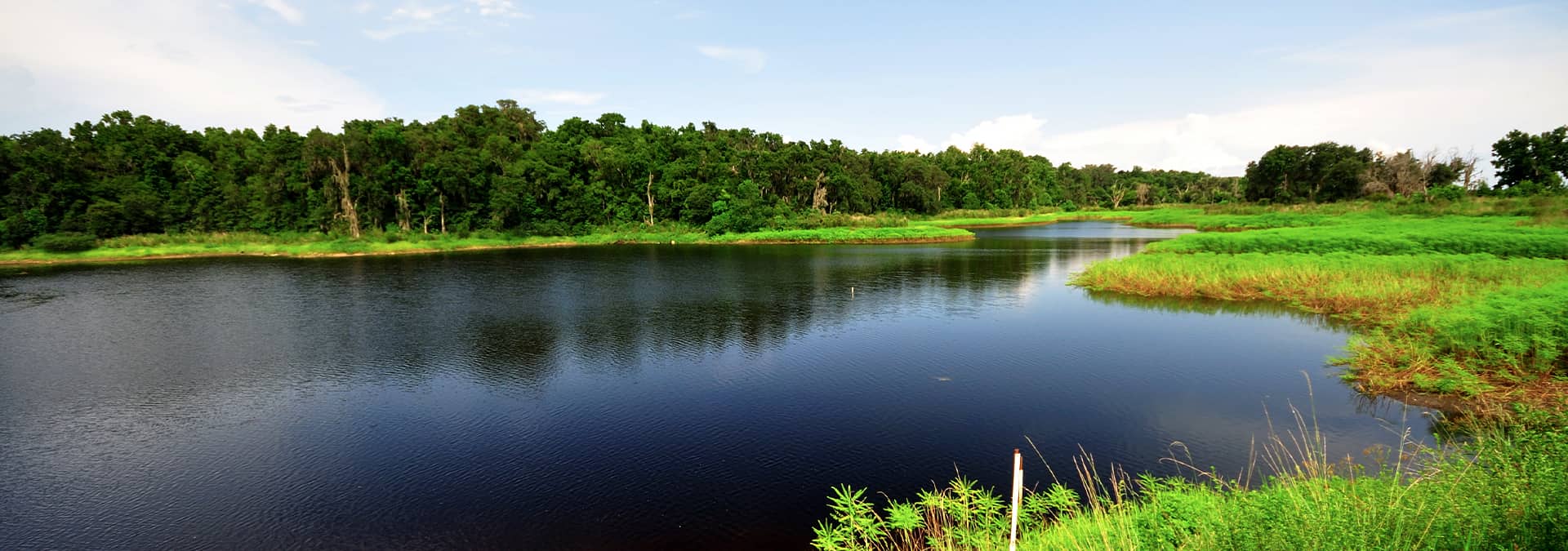 a view of the water and vegetation of asbury lake in florida