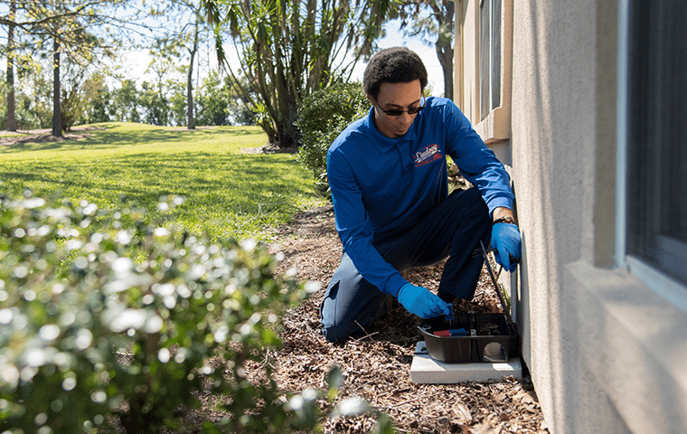 a pest technician inspecting a rodent trap outside of a home in ponte vedra beach florida