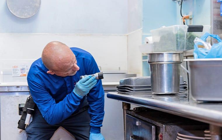 a lindsey technician inspecting for pests in a palatka florida commercial kitchen