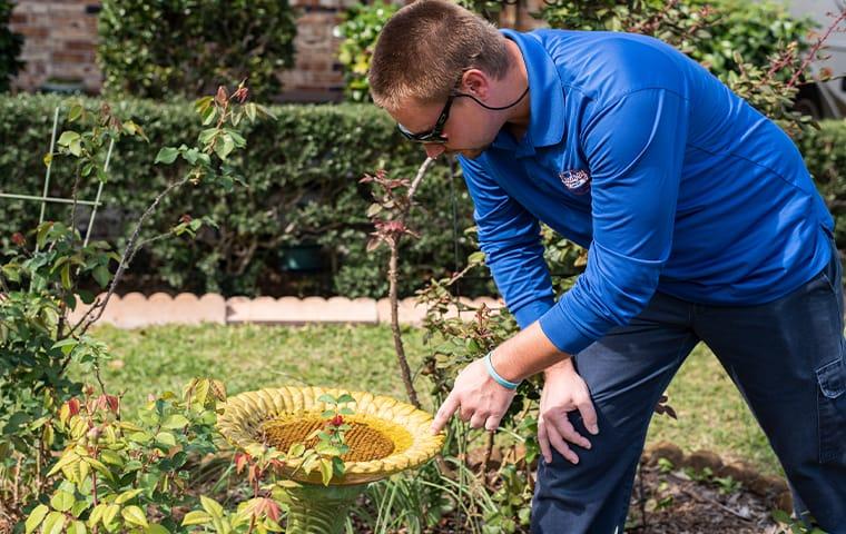 a pest technician inspecting for mosquitoes at a palatka florida home