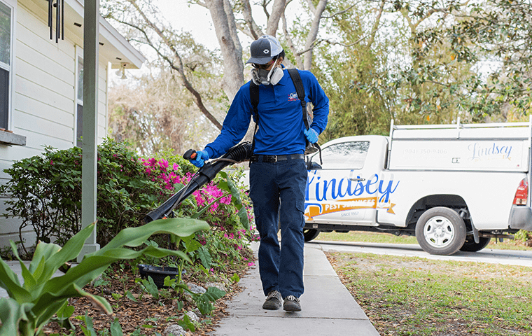 a pest technician treating the shrubs outside of a jacksonville florida home