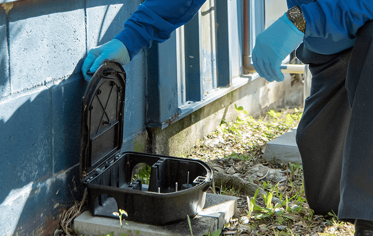 a technician performing rodent control in jacksonville florida