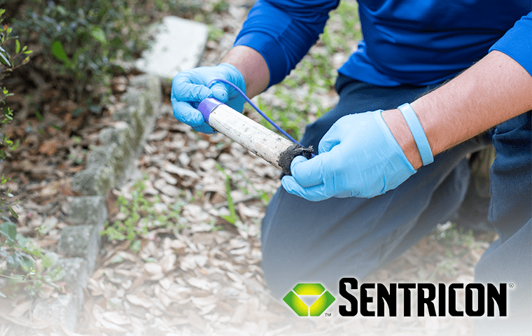 Our Termite Treatments Are Very Effective a technician using the sentricon termite system in jacksonville florida