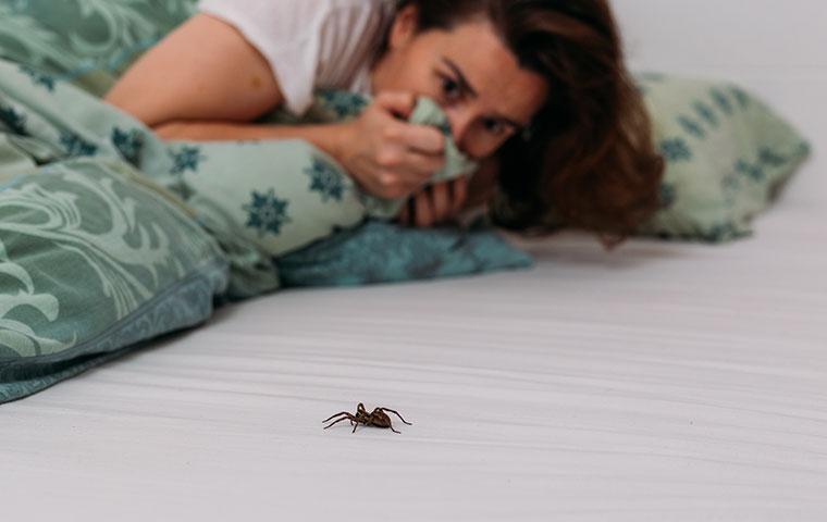 spider crawling near woman who has green blankets and looks scared