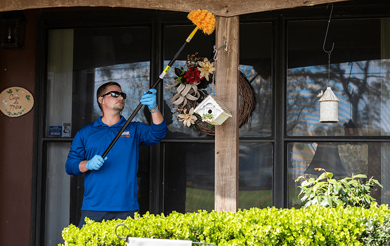 pest control specialist knocking down webs