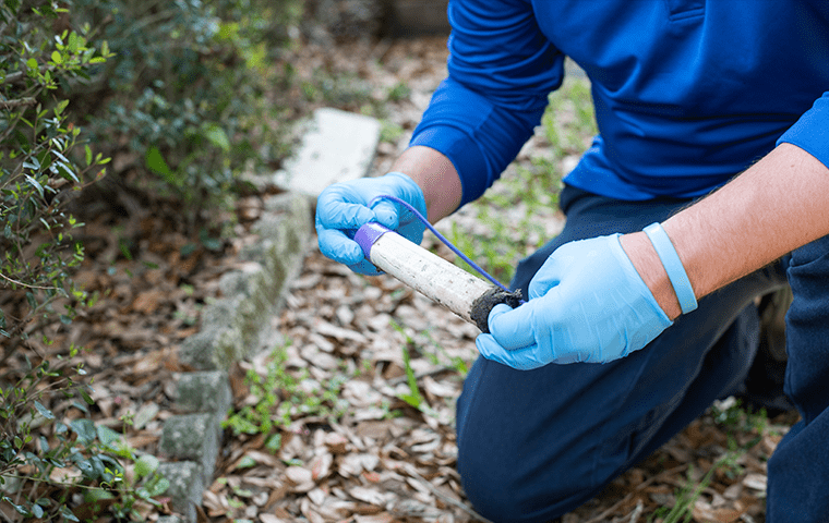 a technician inspecting a termite baiting system outside of a an atlantic beach florida home