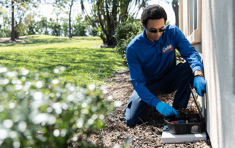 a technician inspecting a rodent trap in jacksonville beach florida