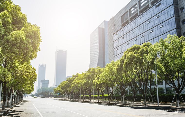 shot of street and buildings