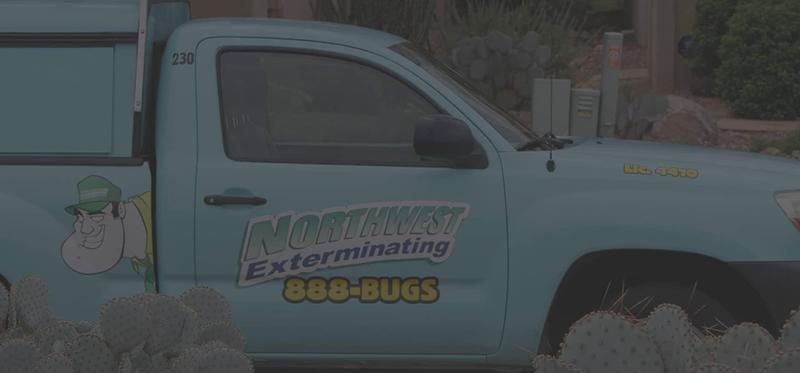 pest control tech in colorado provide service to pest infested home