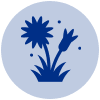 weed control icon for redrock residents