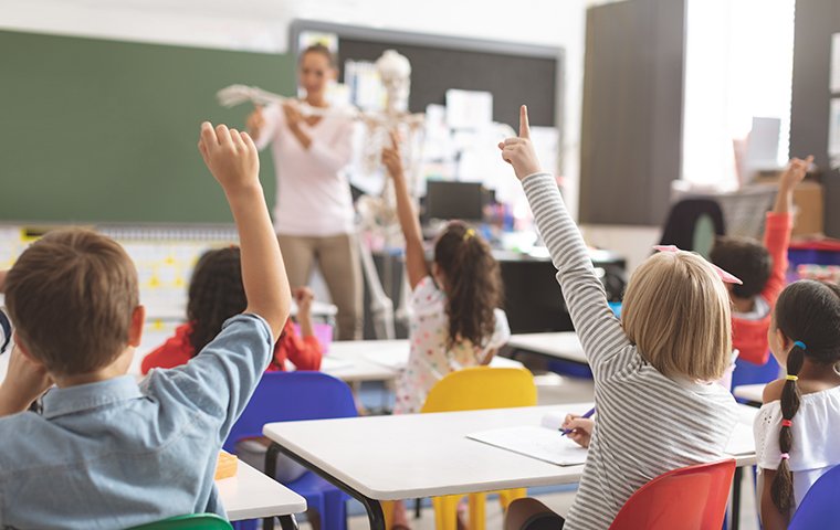 children at school with hands raised