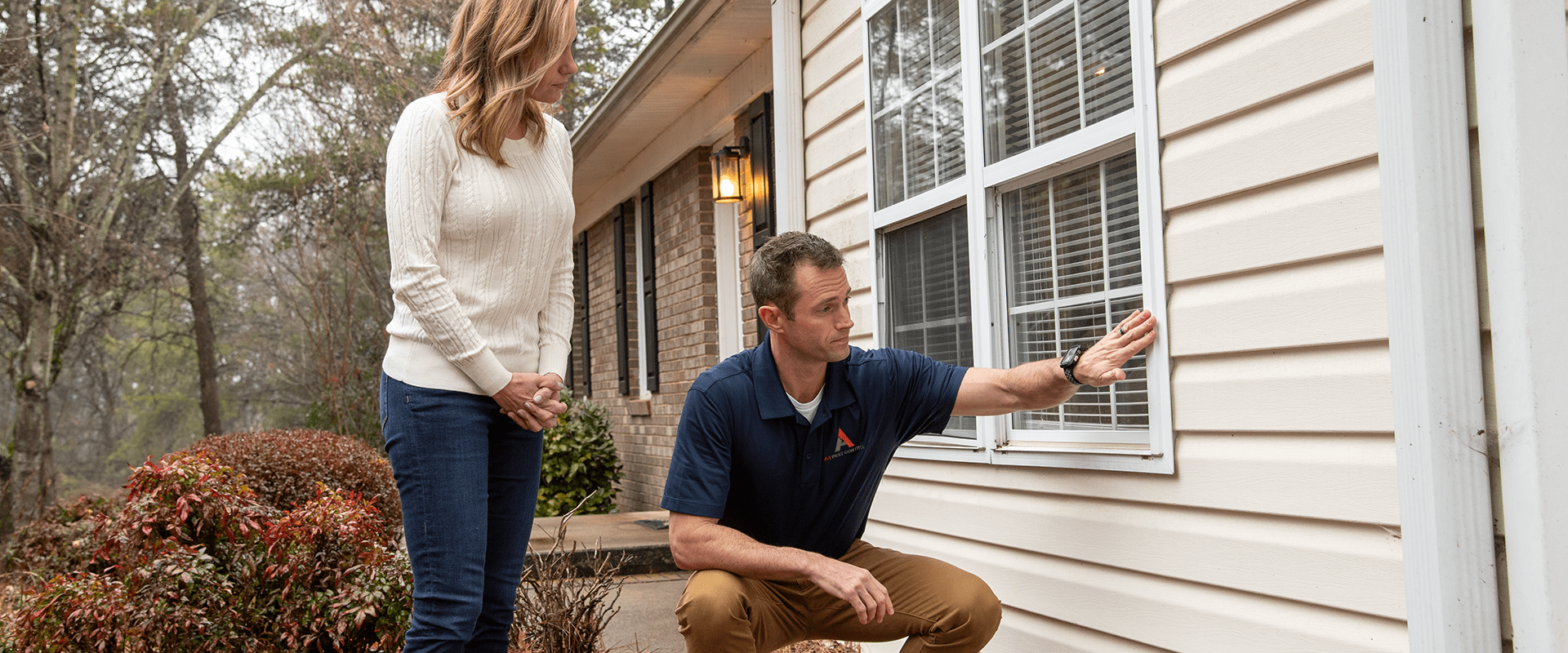 Termite Control Inspection, Removal and Prevention Services in Western NC