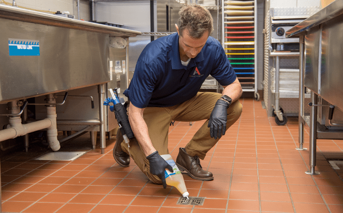 Customized Pest Control Solutions For Your Business technician implementing commercial pest control plan