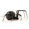 spider pest id icon