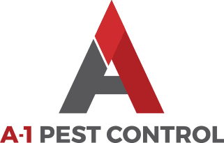 Pest Control Romford