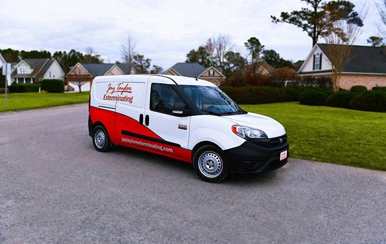 Moisture Control | Pest Management Services In Wilmington, NC