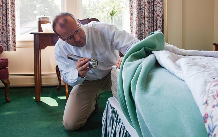 a technician inspecting a mattress for bed bugs in bel air north