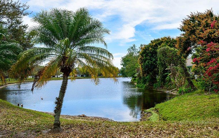 bradenton florida