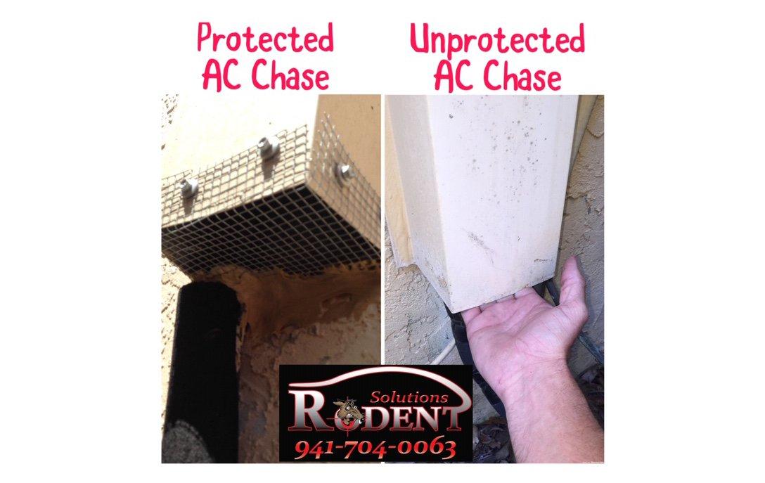 flashing protects from rodent access
