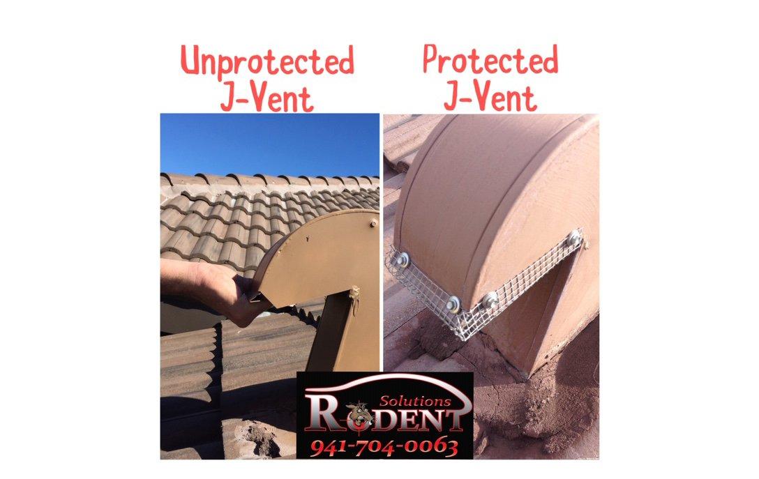 example of roof rodent protection flashing