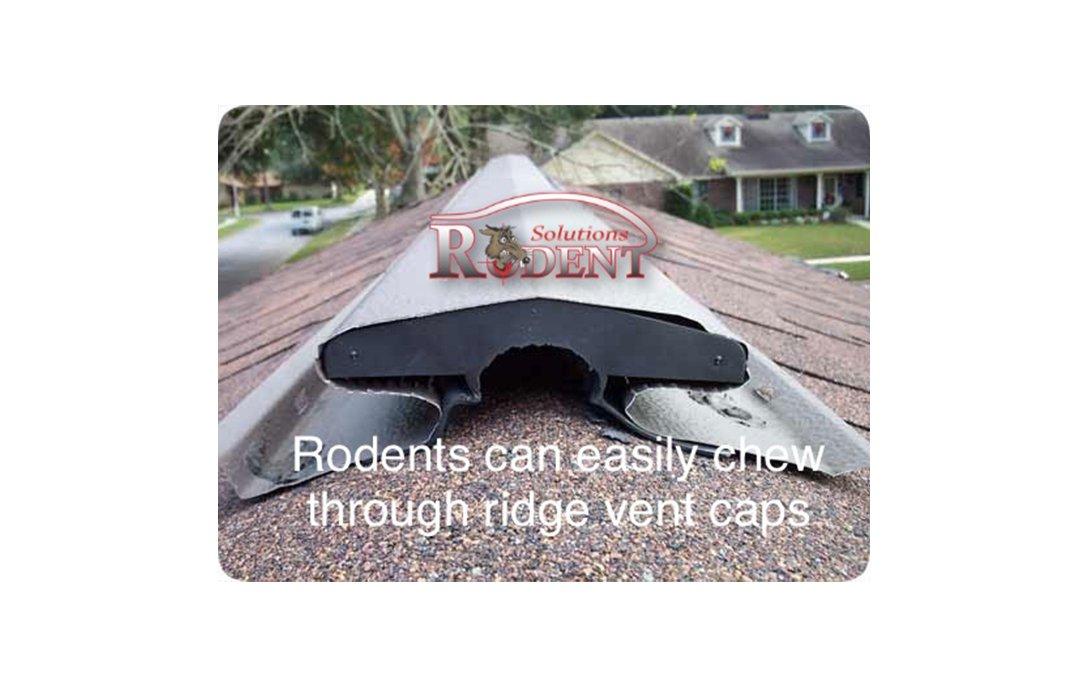 roof ridge endcap damage