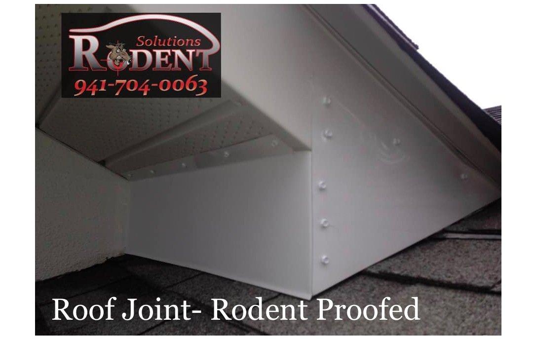 rodent barrier on roof