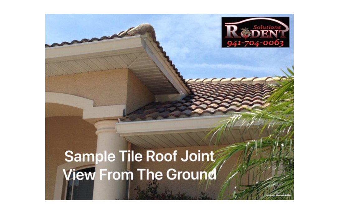 roof joint tile