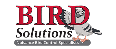 bird control solutions