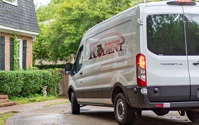 rodent solutions company van
