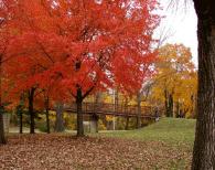 Fall foliage at Black Hawk