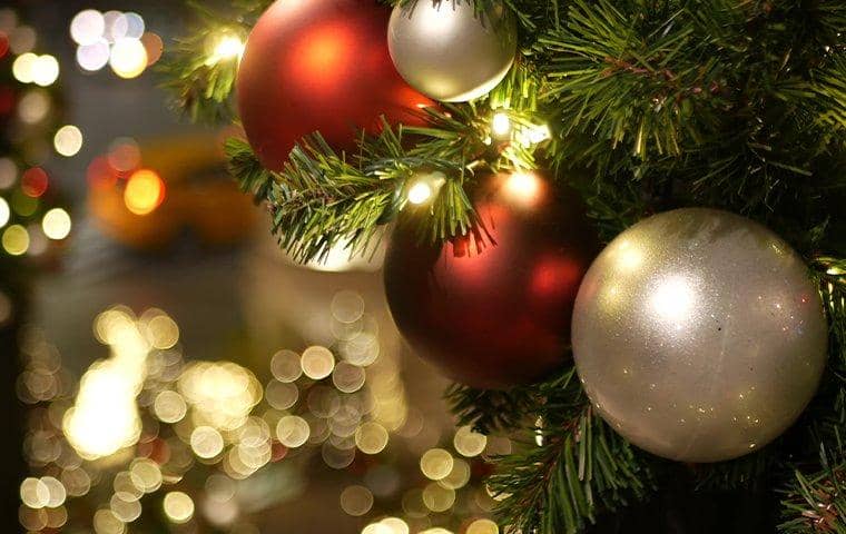 Tips for a pest-free holiday season 