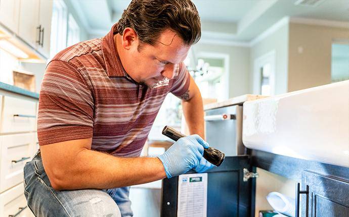 Our Technicians Are Friendly And Local pest control technician inspecting interior