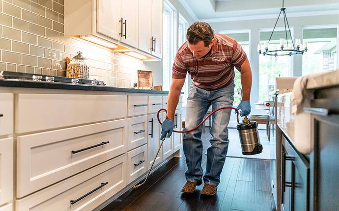 Our Treatments Are Thorough And Guaranteed pest control technician treating interior