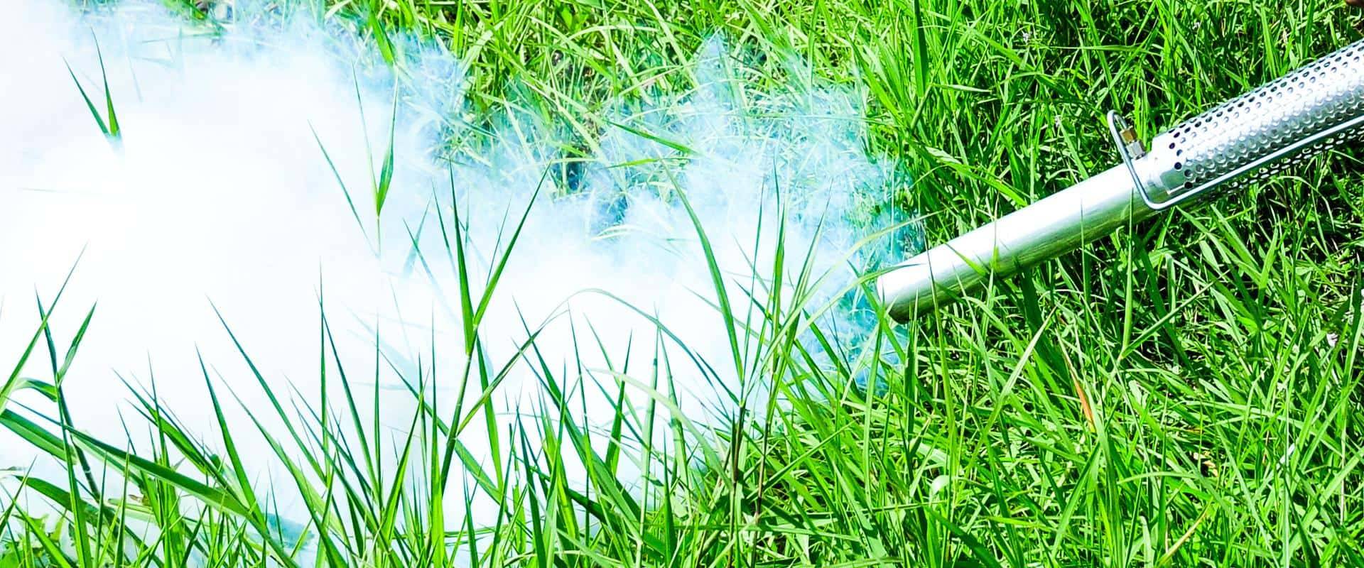 mosquito fog on grass