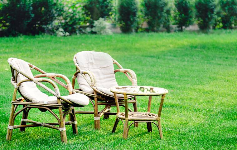 chairs on green lawn