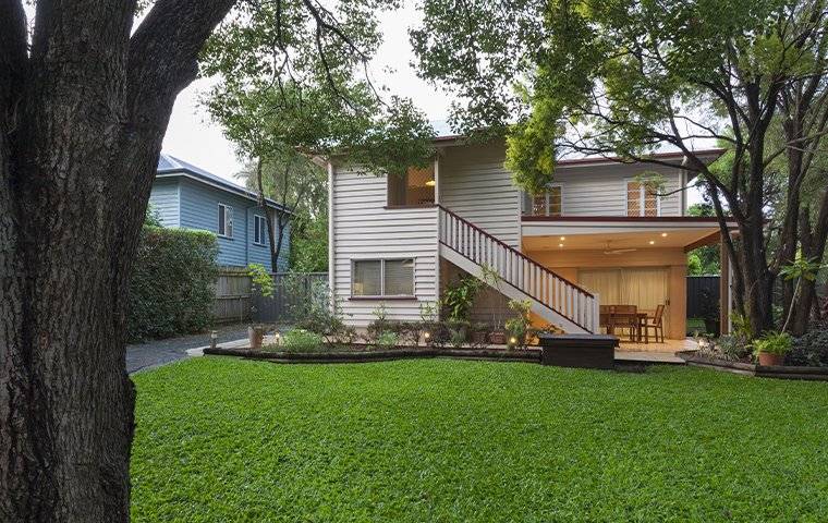 a green lawn and trees in a backyard