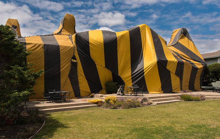 house under fumigation