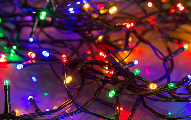 led holiday lights