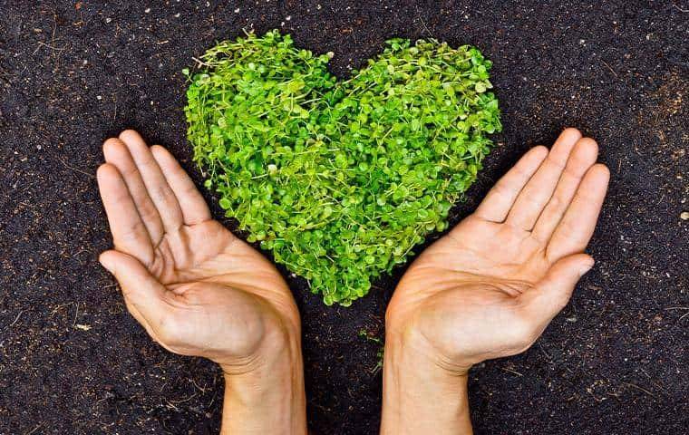 hand surrounding a heart made of plants