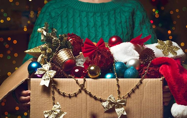 a woman holding a box full of holiday decorations