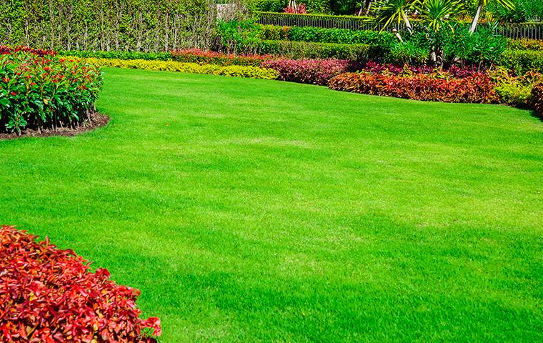 a bright green beautiful lawn