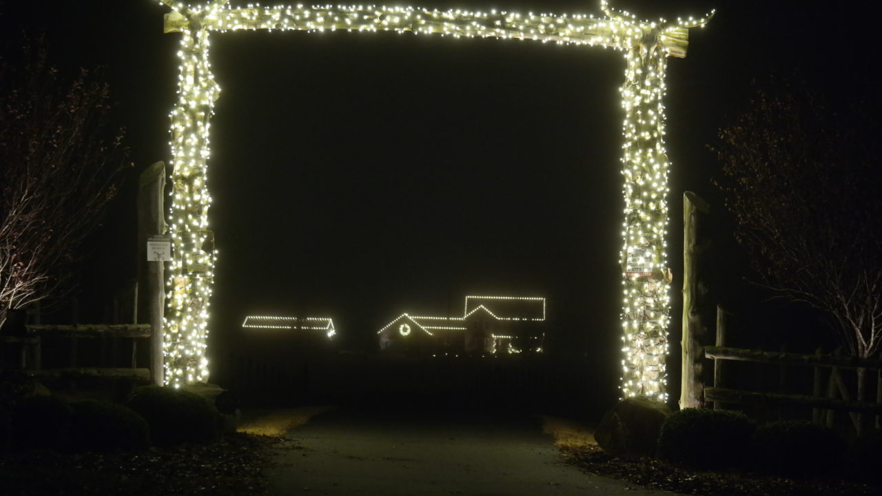 a driveway archway with christmas lights