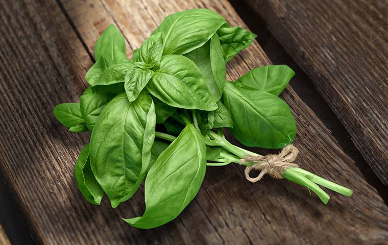 basil leaves